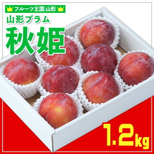 yӂ邳Ɣ[Łzt[cR`R`v(HP)1.2kg yߘa8NYs\zFS25-097