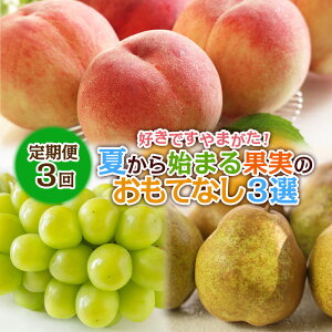 yӂ邳Ɣ[Łzy3zDł܂IĂn܂ʎ̂ĂȂ 3Iyߘa8NYs\zFS25-099