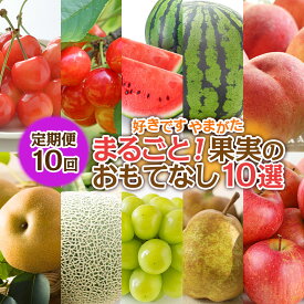【ふるさと納税】【定期便10回】好きですやまがたまるごと！果実のおもてなし 10選【令和8年産先行予約】FS25-101