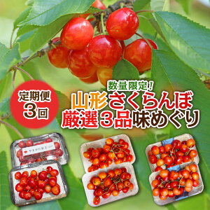 yӂ邳Ɣ[Łzy3zʌIR`ڌI3i߂yߘa8NYs\zFS25-102