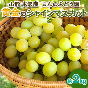 yӂ邳Ɣ[ŁzũVC}XJbgv2kg R`s { ̂Ԃǂyߘa8NYs\zFS25-103