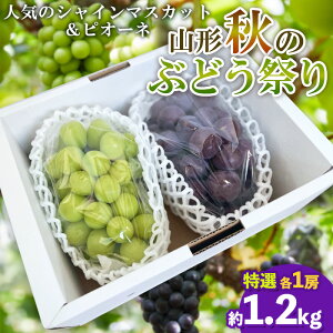 yӂ邳Ɣ[ŁzR`ĤԂǂՂyVC}XJbgEsI[l I 2[zyߘa8NYs\zFS25-108