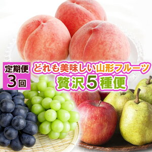 yӂ邳Ɣ[Łzy3zǂ R`t[c ґ5ցyߘa8NYs\zFS25-122