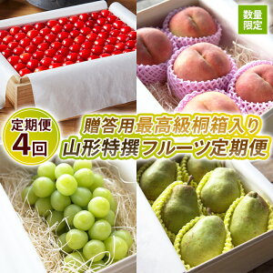 yӂ邳Ɣ[Łzy4zyʌzpō˔ R`t[c4yߘa8NYs\zFS25-123