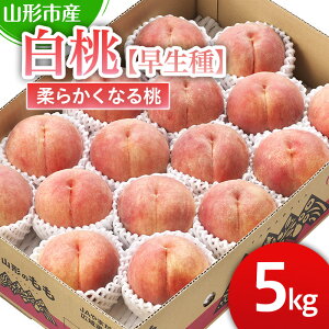 yӂ邳Ɣ[ŁzR`sY yzuOE܂ǂEzĔ܁v_炩Ȃ铍 5kg (13ʁ`18)yߘa8NYs\zFS25-125