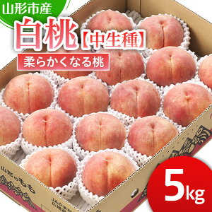 �y�ӂ邳�Ɣ[�Łz�R�`�s�Y ���� �y������z�u������E�䂤����E���Ԃ��܁v�_�炩���Ȃ铍5kg (13�`18��)�y�ߘa8�N�Y��s�\��zFS25-127