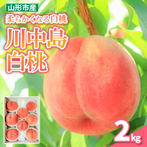 �y�ӂ邳�Ɣ[�Łz�_�炩���Ȃ� �쒆�� ���� �G�i 2kg (5�`8��)�y�ߘa8�N�Y��s�\��zFS25-145