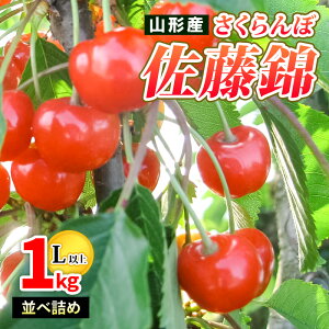 yӂ邳Ɣ[ŁzR`Y ڍ G 1kg ׋l Lȏ yߘa8NYs\zFS25-502  ʕ t[c R` R` R`s  2026NY