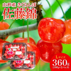 【ふるさと納税】山形産 さくらんぼ 特選 佐藤錦 L 360g(180g×2パック入) 【令和8年産先行予約】FS25-503 くだもの 果物 フルーツ 山形 山形県 山形市 お取り寄せ 2026年産