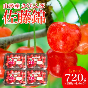 yӂ邳Ɣ[ŁzR`Y   L 720g(180g×4pbN) yߘa8NYs\zFS25-504  ʕ t[c R` R` R`s  2026NY