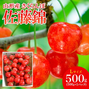 yӂ邳Ɣ[ŁzR`Y   L 500g yߘa8NYs\zFS25-505  ʕ t[c R` R` R`s  2026NY