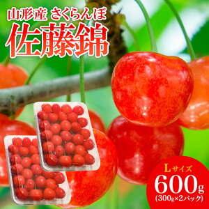 yӂ邳Ɣ[ŁzR`Y   L 600g(300g×2pbN) yߘa8NYs\zFS25-506  ʕ t[c R` R` R`s  2026NY