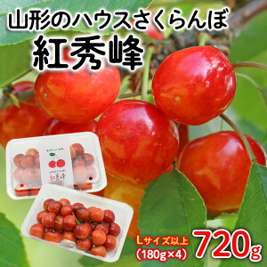 yӂ邳Ɣ[ŁzR`̃nEX gG 720g(180g×4pbN) LTCYȏ yߘa8NYs\zFS25-511  ʕ t[c R` R` R`s  2026NY