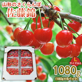 【ふるさと納税】山形のさくらんぼ 佐藤錦 1080g (180g×6パック) Lサイズ以上 【令和8年産先行予約】FS25-514 くだもの 果物 フルーツ 山形 山形県 山形市 お取り寄せ 2026年産