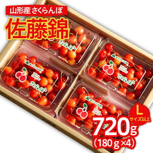 yӂ邳Ɣ[ŁzR`̂  LTCYȏ 720g (180g×4pbN) yߘa8NYs\zFS25-516  ʕ t[c R` R` R`s  2026NY