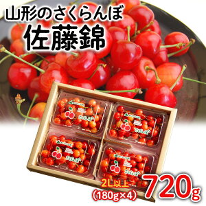 yӂ邳Ɣ[ŁzR`̂  720g(180g×4pbN) 2LTCYȏ yߘa8NYs\zFS25-517  ʕ t[c R` R` R`s  2026NY
