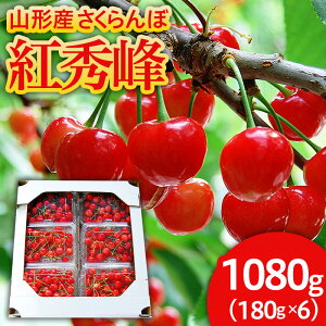 yӂ邳Ɣ[ŁzR`̂ gG 1080g(180g×6pbN) LTCYȏ yߘa8NYs\zFS25-520  ʕ t[c R` R` R`s  2026NY