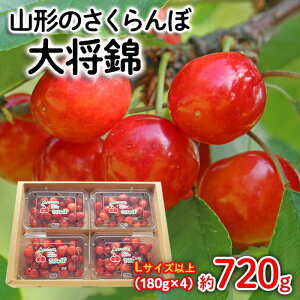 yӂ邳Ɣ[ŁzR`̂ 叫 LTCYȏ 720g(180g×4) yߘa8NYs\zFS25-525  ʕ t[c R` R` R`s  2026NY