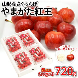 yӂ邳Ɣ[Łz ܂g 720g(180g×4pbN) 2LTCYȏ yߘa8NYs\zFS25-528  ʕ t[c R` R` R`s  2026NY