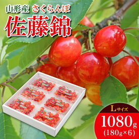 【ふるさと納税】さくらんぼ 佐藤錦 L 1080g (180g×6パック) 【令和8年産先行予約】FS25-532 くだもの 果物 フルーツ 山形 山形県 山形市 お取り寄せ 2026年産