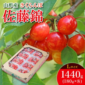 【ふるさと納税】さくらんぼ 佐藤錦 L 1440g(180g×8) 【令和8年産先行予約】FS25-533 くだもの 果物 フルーツ 山形 山形県 山形市 お取り寄せ 2026年産