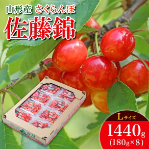 さくらんぼ 佐藤錦 L 1440g(180g×8) 【令和...