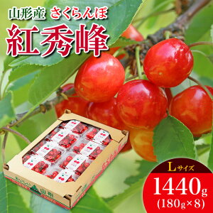 yӂ邳Ɣ[Łz gG L 1440g(180g×8) yߘa8NYs\zFS25-537  ʕ t[c R` R` R`s  2026NY
