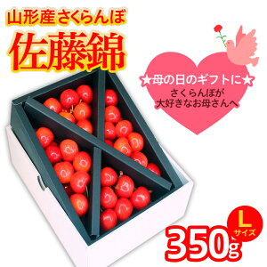 yӂ邳Ɣ[Łz5܂邲ƕ̓  LTCY 350g (5/15`)yߘa8NYs\z FS25-550  ʕ t[c R` R` R`s  2026NY