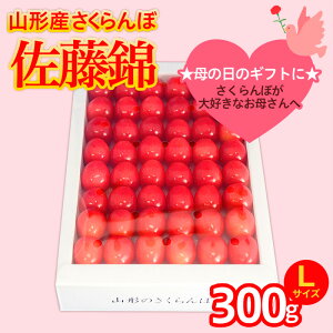 yӂ邳Ɣ[Łz5܂邲ƕ̓  LTCY 300g l (5/15`)yߘa8NYs\zFS25-551  ʕ t[c R` R` R`s  2026NY