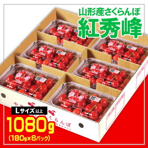 yӂ邳Ɣ[ŁzR` gGLTCYȏ 1080kg(180g×6) yߘa8NYs\z FS25-555  ʕ t[c R` R` R`s  2026NY