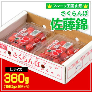 yӂ邳Ɣ[Łzt[cR`  LTCY 360g(180g×2pbN) yߘa8NYs\zFS25-558  ʕ t[c R` R` R`s  2026NY