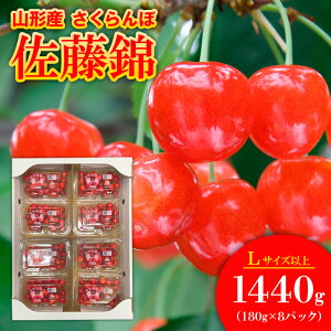 yӂ邳Ɣ[Łzڍ LTCY 1440g(180g×8pbN) yߘa8NYs\zFS25-562  ʕ t[c R` R` R`s  2026NY