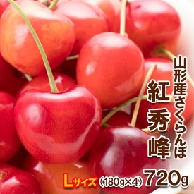 【ふるさと納税】さくらんぼ 紅秀峰 Lサイズ 720g(180g×4パック) 【令和8年産先行予約】FS25-566 くだもの 果物 フルーツ 山形 山形県 山形市 お取り寄せ 2026年産