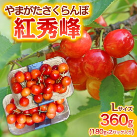 【ふるさと納税】やまがた さくらんぼ 紅秀峰 Lサイズ 360g(180g×2パック入り) 1箱【令和8年産先行予約】FS25-575 くだもの 果物 フルーツ 山形 山形県 山形市 お取り寄せ 2026年産