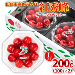 yӂ邳Ɣ[Łz͔|R`sY  ugGv Lȏ 100g×2 _CpbN yߘa8NYs\zFS25-576  ʕ t[c R` R` R`s  2026NY