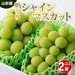 yӂ邳Ɣ[ŁzǂVC}XJbg Gi 2[ 1.2kgyߘa8NYs\z FS25-589  ʕ t[c R` R` R`s  2026NY