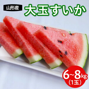 yӂ邳Ɣ[Łz R`Y ʐZ() 1ʓ yߘa8NYs\zFS25-594  ʕ t[c R` R` R`s  2026NY