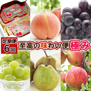 yӂ邳Ɣ[Łzy6z̖킢 ɂ yߘa8NYs\zFS25-617  ʕ t[c R` R` R`s  2026NY