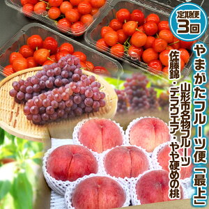 yӂ邳Ɣ[Łzy3z܂ t[c hŏh R`t[c [сEfEFAEdߔ] yߘa8NYs\zFS25-630  ʕ t[c R` R`