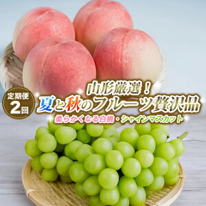 yӂ邳Ɣ[Łzy2zR`IIĂƏH̃t[cґi(_炩Ȃ锒AVC}XJbg) yߘa8NYs\zFS25-643  ʕ t[c R` R` R`s 