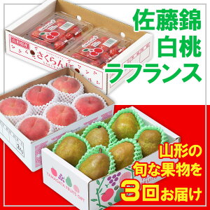 yӂ邳Ɣ[Łzy3zt[cR`сEEtX yߘa8NYs\zFS25-663  ʕ t[c R` R` R`s  2026NY