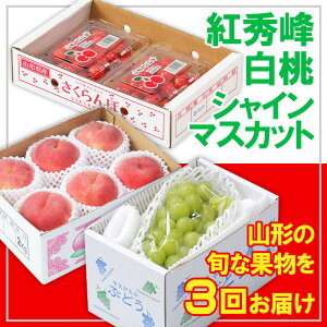 yӂ邳Ɣ[Łzy3zt[cR`gGEEVC}XJbg yߘa8NYs\zFS25-664  ʕ t[c R` R` R`s  2026NY