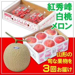 yӂ邳Ɣ[Łzy3zt[cR`gGEE yߘa8NYs\zFS25-665  ʕ t[c R` R` R`s  2026NY