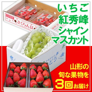 yӂ邳Ɣ[Łzy3zt[cR`EgGEVC}XJbg yߘa8NYs\zFS25-666  ʕ t[c R` R` R`s  2026NY