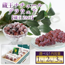 【ふるさと納税】【蔵王 ZAO】蔵王ナチュールデラウェア TAKUMI ORCHARD 99% 贈答 2L以上 糖度保証 約1kg 約2kg 約3kg 山形 山形市 フルーツ 果物 くだもの 送料無料 ぶどう 葡萄 ブドウ 減農薬【令和8年産先行予約】FS25-117
