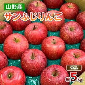 yӂ邳Ɣ[ŁzR`̃Tӂ Gi 5kg(10`25) S ь t[c ʕ  FZ18-211
