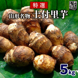 yӂ邳Ɣ[Łz[I]R` yt 5kg fz23-137