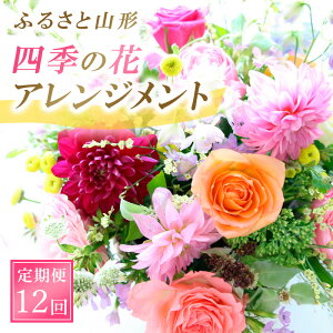 yӂ邳Ɣ[Łzy12zӂ邳ƎR`lG̉ԁEAWg fz23-629