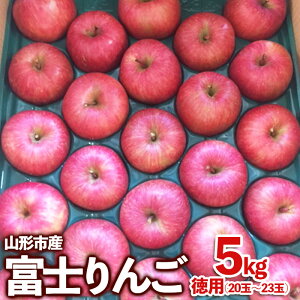 yӂ邳Ɣ[ŁzR`sY xm  p 5kg(20ʁ`23) fz23-037 ʕ  t[c  S   1~ 1 10000~