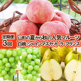 【ふるさと納税】★定期便3回★山形の夏から秋の人気フルーツ(白桃・シャインマスカット・ラフランス) FY25-834